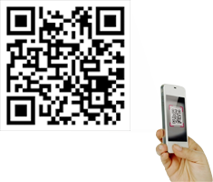 mobile web